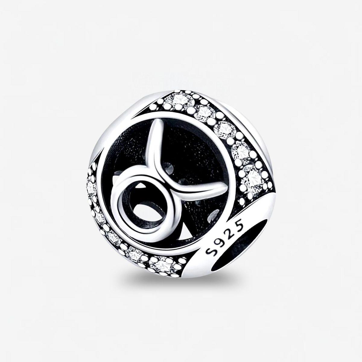 Zodiac Birthstone Charm